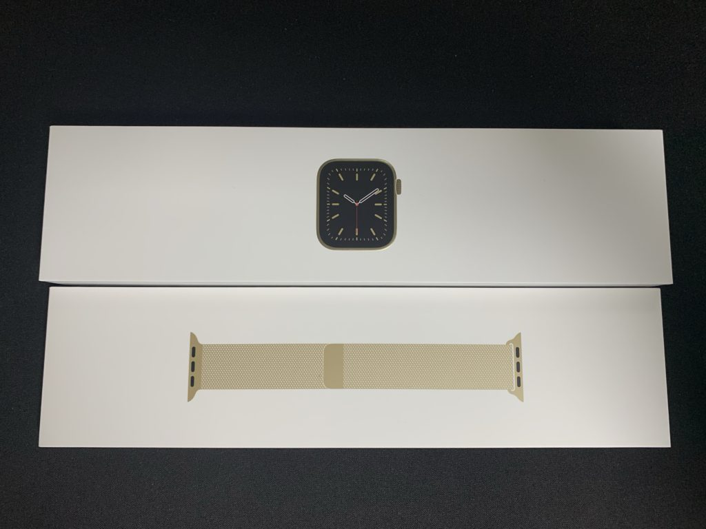 Apple Watch 6th Generation Stainless Steel 44mm Review
